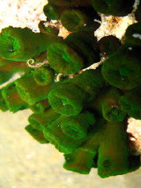 mt002002.jpg