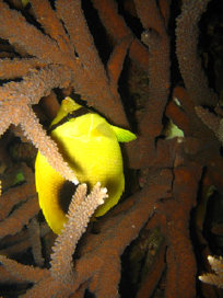 mt005002.jpg